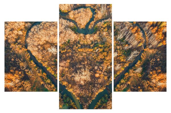 Obraz - Rieka v tvare srdca (90x60 cm)