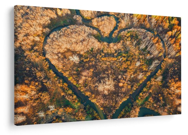 Obraz - Rieka v tvare srdca (90x60 cm)