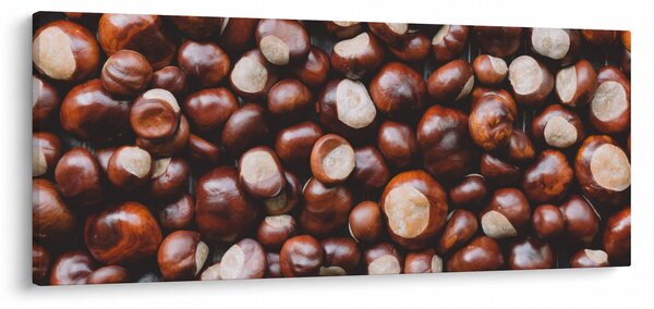 Obraz - Zrelé gaštany (120x50 cm)