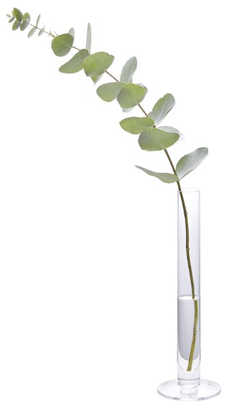 VÁZA, sklo, 25 cm - Vázy
