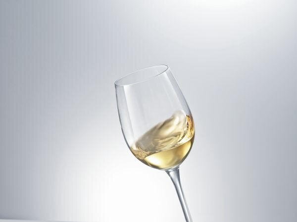 POHÁR NA BURGUNDSKÉ VÍNO Schott Zwiesel - Poháre na víno