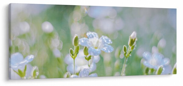 Obraz - Jemné kvety (120x50 cm)