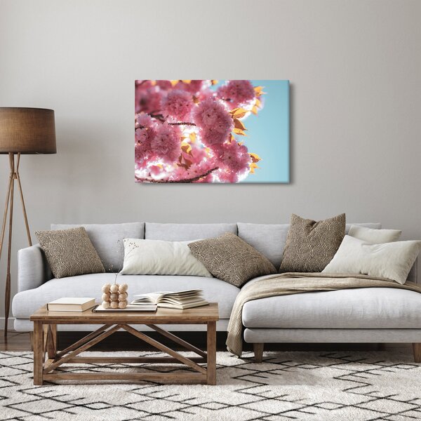 Obraz - Čerešňový kvet (90x60 cm)