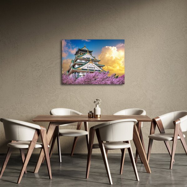 Obraz - Osacký hrad (70x50 cm)