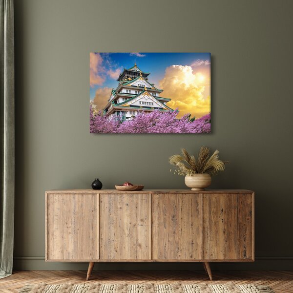 Obraz - Osacký hrad (90x60 cm)