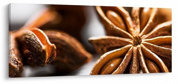 Obraz - Aníz (120x50 cm)
