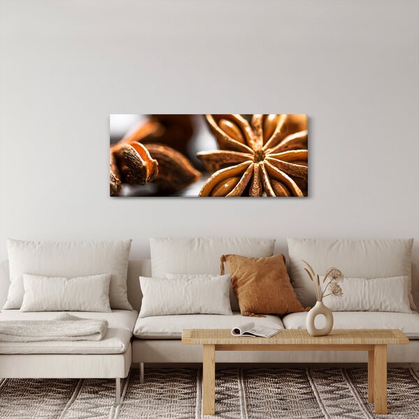 Obraz - Aníz (120x50 cm)