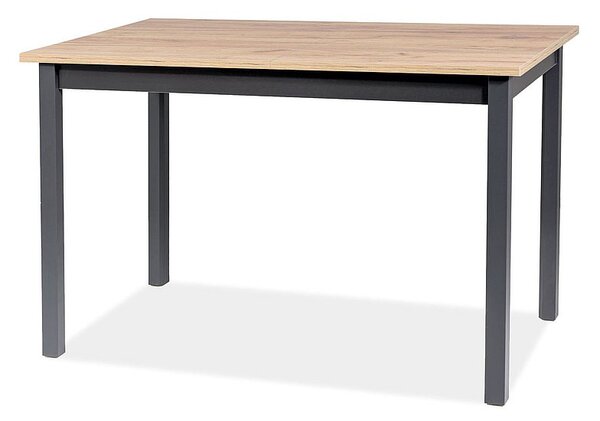 Rozkladací jedálenský stôl 125-170 cm Hally (remeselnícky dub + čierna) (pre 4 až 6 osôb). Vlastná spoľahlivá doprava až k Vám domov. 1050258