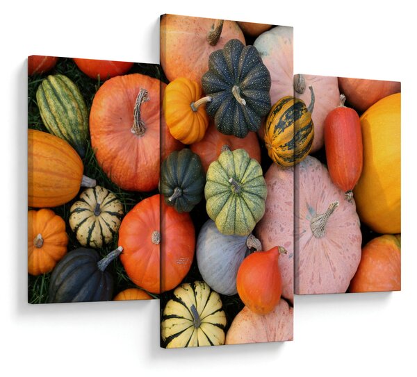 Obraz - Tekvica (90x60 cm)