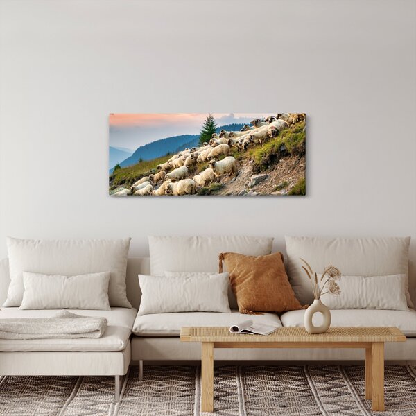Obraz - Stádo oviec (120x50 cm)
