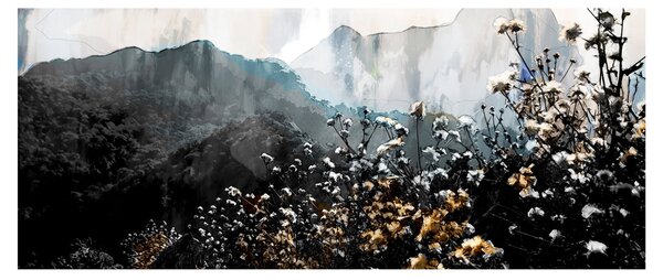 Obraz - Ilustrácie divokých kvetov (120x50 cm)