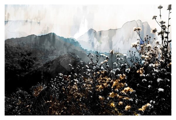 Obraz - Ilustrácie divokých kvetov (90x60 cm)