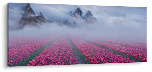 Obraz - Krajina s tulipánovými poľami (120x50 cm)