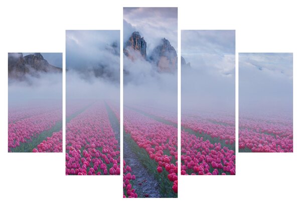Obraz - Krajina s tulipánovými poľami (150x105 cm)