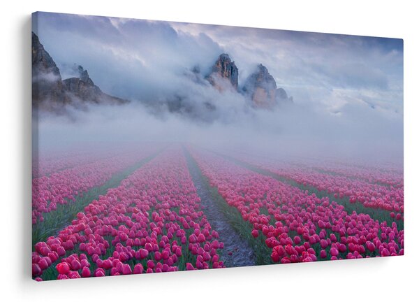 Obraz - Krajina s tulipánovými poľami (90x60 cm)