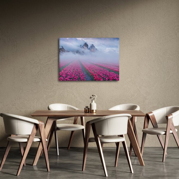 Obraz - Krajina s tulipánovými poľami (70x50 cm)