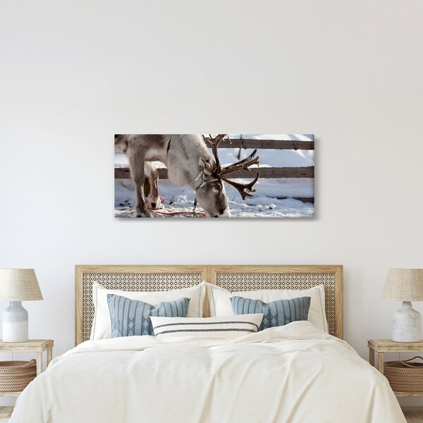 Obraz - Sob (120x50 cm)