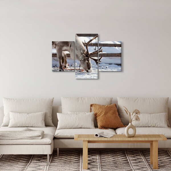 Obraz - Sob (90x60 cm)