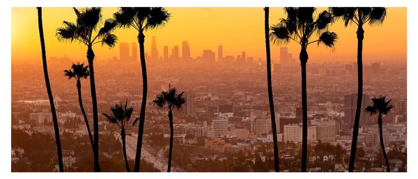 Obraz - Panorama Los Angeles (120x50 cm)