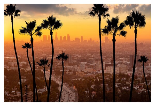 Obraz - Panorama Los Angeles (90x60 cm)