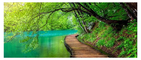 Obraz - Plitvické jazerá (120x50 cm)