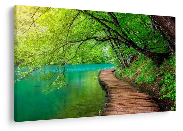 Obraz - Plitvické jazerá (90x60 cm)