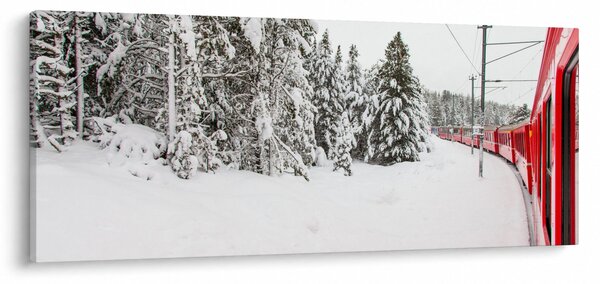 Obraz - Vlak v zasneženej krajine (120x50 cm)