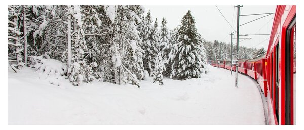 Obraz - Vlak v zasneženej krajine (120x50 cm)