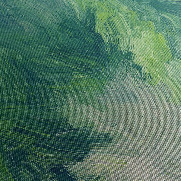 Obraz - Maľované ihličnany (120x50 cm)