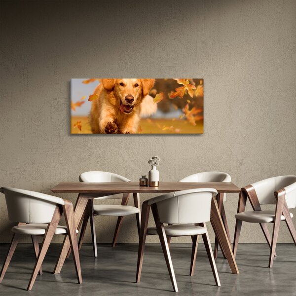 Obraz - Zlatý retriever (120x50 cm)