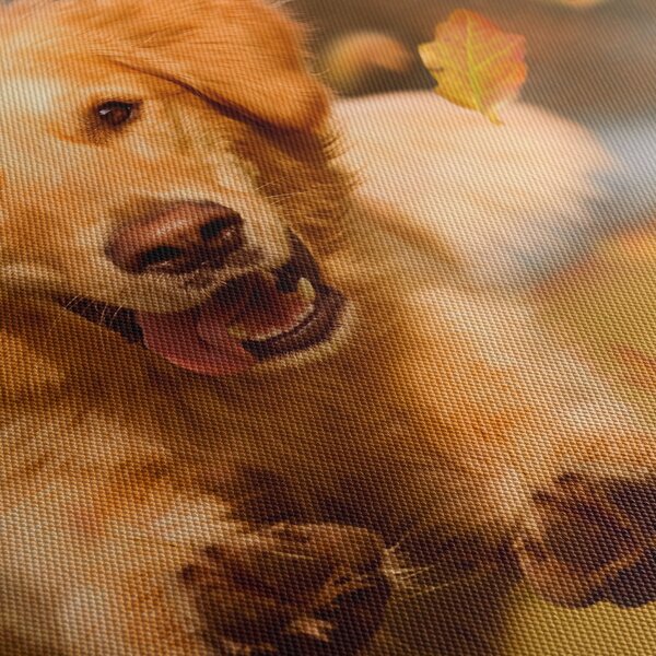 Obraz - Zlatý retriever (90x60 cm)