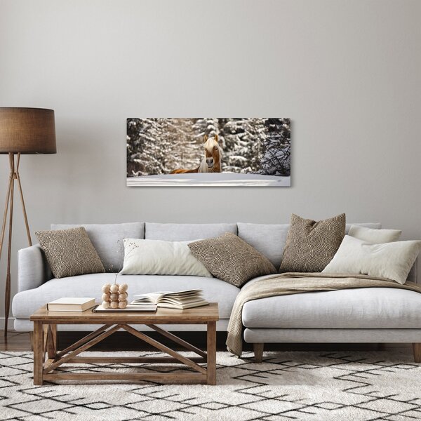 Obraz - Kôň v zimnej krajine (120x50 cm)