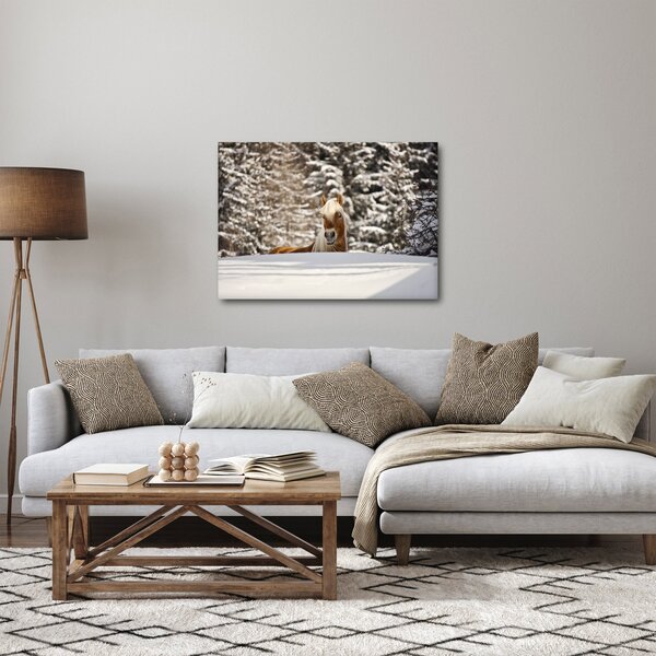 Obraz - Kôň v zimnej krajine (70x50 cm)