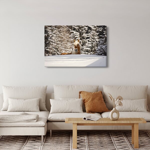 Obraz - Kôň v zimnej krajine (90x60 cm)