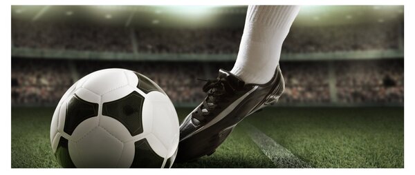 Obraz - Futbalová lopta (120x50 cm)
