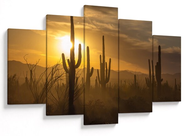 Obraz - Kaktusy Saguaro (150x105 cm)