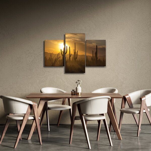 Obraz - Kaktusy Saguaro (90x60 cm)