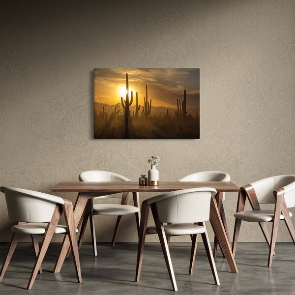 Obraz - Kaktusy Saguaro (90x60 cm)