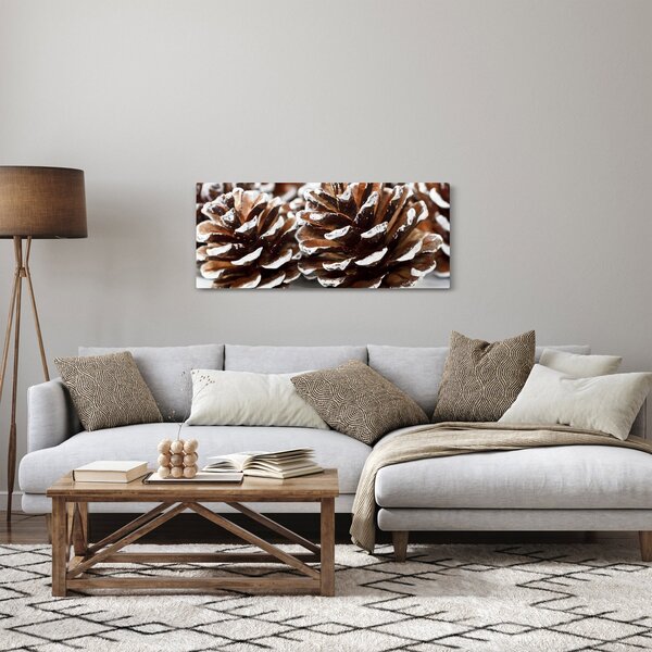 Obraz - Šišky (120x50 cm)