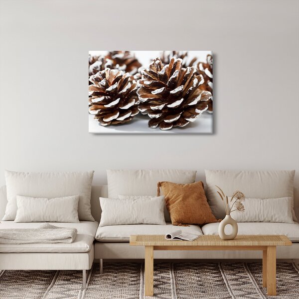 Obraz - Šišky (90x60 cm)