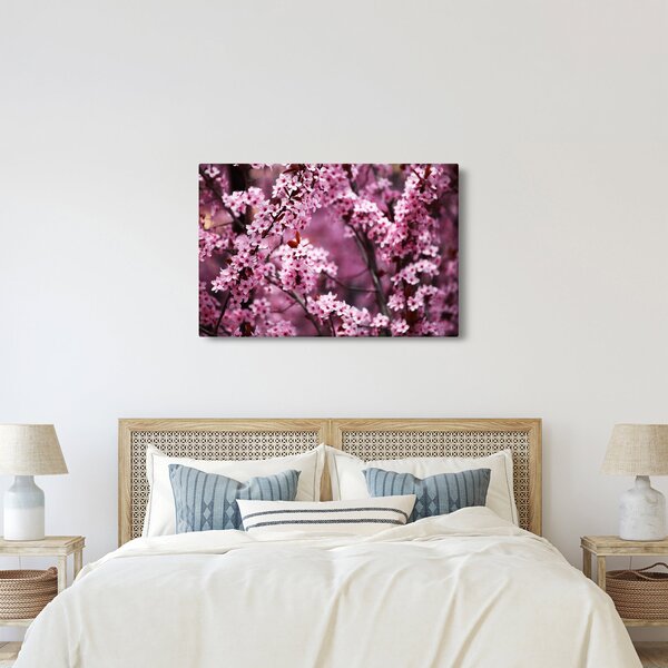Obraz - Ružová sakura (90x60 cm)