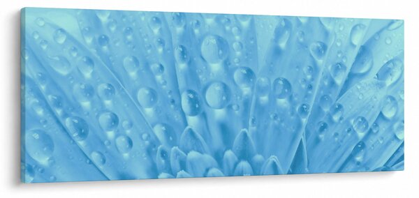 Obraz - Makro záber kvetu (120x50 cm)