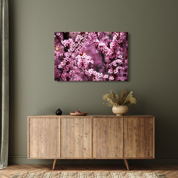 Obraz - Ružová sakura (90x60 cm)