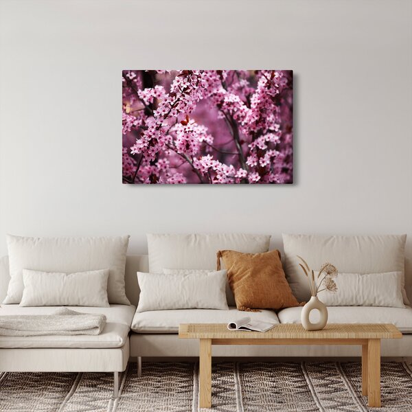 Obraz - Ružová sakura (90x60 cm)