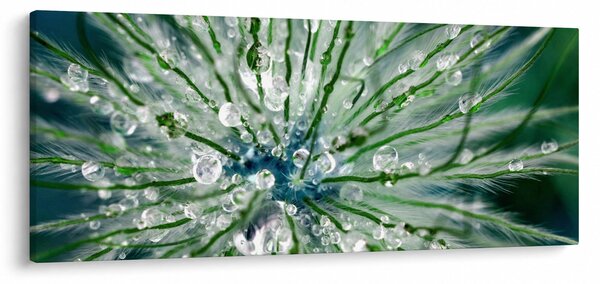 Obraz - Makro snímka kvetu (120x50 cm)