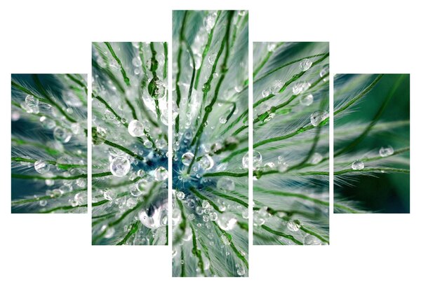 Obraz - Makro snímka kvetu (150x105 cm)