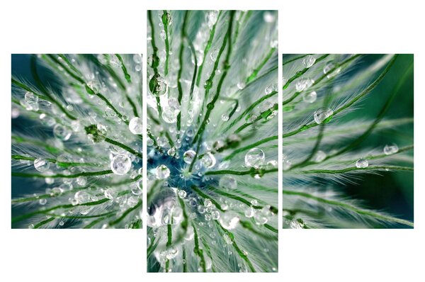 Obraz - Makro snímka kvetu (90x60 cm)