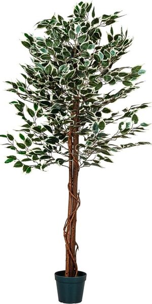 PLANTASIA 27406 Umelý strom rastlina - fikus - 160 cm
