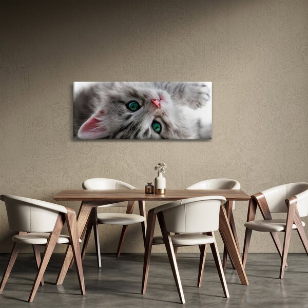 Obraz - Mačka so zelenými očami (120x50 cm)