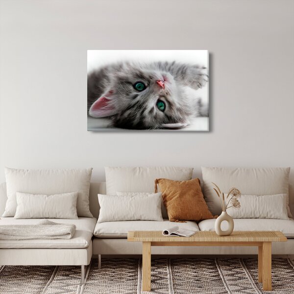 Obraz - Mačka so zelenými očami (90x60 cm)
